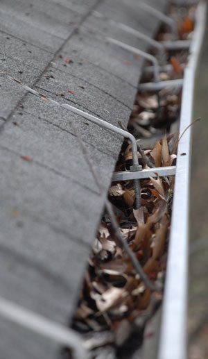 Gutters are leave catchers. They should be cleaned almost every week. Gutters are leave catchers. They should be cleaned almost every week.