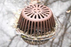 Debris clogging roof Drain Debris clogging roof Drain