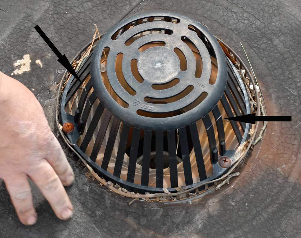Plastic-strainer-or-dome-for-drains Plastic-strainer-or-dome-for-drains