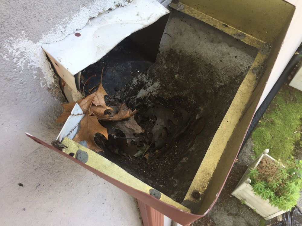 Debris blocking the drain causing leader to fill with water